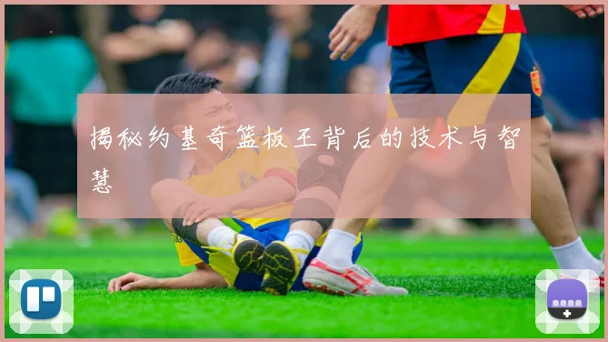 揭秘约基奇篮板王背后的技术与智慧